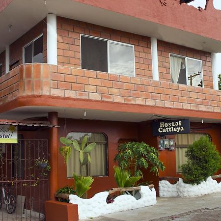 Hostal Cattleya Пуерто-Бакерісо-Морено Екстер'єр фото